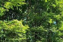 Land for sale in Jackson County, North Carolina