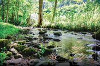 Land for sale in Jackson County, North Carolina