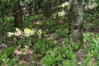 Land for sale in Jackson County, North Carolina