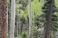 Land for sale in Colfax County, New Mexico