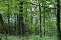 Land for sale in Macon County, North Carolina