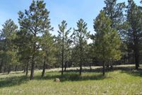 Land for sale in Colfax County, New Mexico
