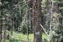 Recreational Property for sale in Colfax County, New Mexico