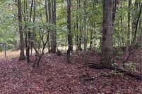 Undeveloped Land for sale in Buckingham County, Virginia