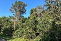 Land for sale in Ware County, Georgia