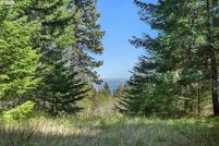 Undeveloped Land for sale in Klickitat County, Washington