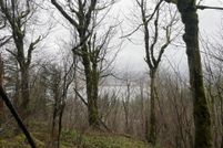 Undeveloped Land for sale in Multnomah County, Oregon