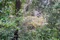 Land for sale in Coos County, Oregon