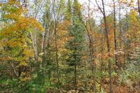 Land for sale in Lake County, Minnesota
