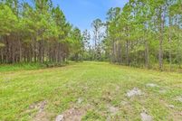 Land for sale in Taylor County, Florida