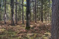 Land for sale in Roscommon County, Michigan