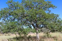 Undeveloped Land for sale in Kerr County, Texas