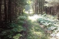 Land for sale in Mackinac County, Michigan