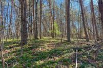 Land for sale in Overton County, Tennessee