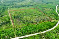 Undeveloped Land for sale in Taylor County, Florida