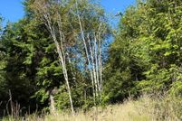 Homesite for sale in Tillamook County, Oregon