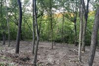 Land for sale in Taney County, Missouri