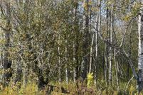 Land for sale in Pine County, Minnesota