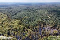 Land for sale in Grant Parish, Louisiana