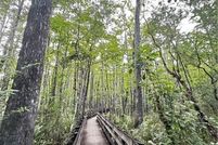 Land for sale in Lee County, Florida