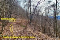 Land for sale in Haywood County, North Carolina