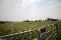 Land for sale in Saint Clair County, Michigan