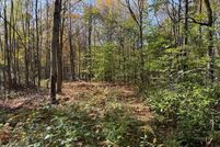 Land for sale in Wayne County, Pennsylvania