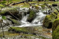 Land for sale in Fannin County, Georgia