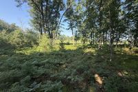 Undeveloped Land for sale in Mecosta County, Michigan