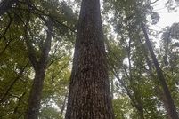 Farm and Ranch for sale in Muskegon County, Michigan