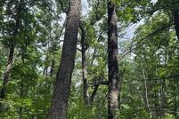 Land for sale in Newaygo County, Michigan