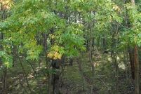 Waterfront Property for sale in Mecosta County, Michigan