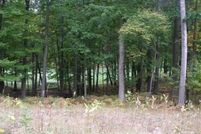 Homesite for sale in Mecosta County, Michigan