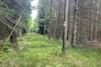 Undeveloped Land for sale in Oceana County, Michigan