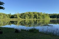 Undeveloped Land for sale in Newaygo County, Michigan