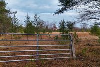 Undeveloped Land for sale in Manistee County, Michigan