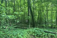 Riverfront Property for sale in Branch County, Michigan