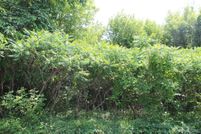 Land for sale in Jackson County, Michigan