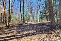 Undeveloped Land for sale in Newaygo County, Michigan