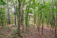 Land for sale in Ottawa County, Michigan
