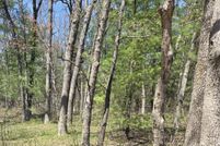 Undeveloped Land for sale in Newaygo County, Michigan