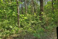 Undeveloped Land for sale in Lake County, Michigan