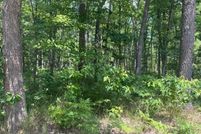 Land for sale in Newaygo County, Michigan
