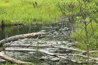 Undeveloped Land for sale in Osceola County, Michigan