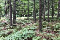Recreational Property for sale in Mecosta County, Michigan