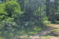 Undeveloped Land for sale in Lake County, Michigan
