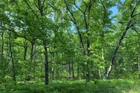 Land for sale in Lake County, Michigan