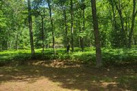 Land for sale in Lake County, Michigan