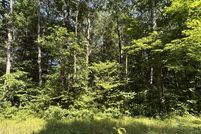 Land for sale in Osceola County, Michigan