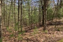 Land for sale in Mason County, Michigan